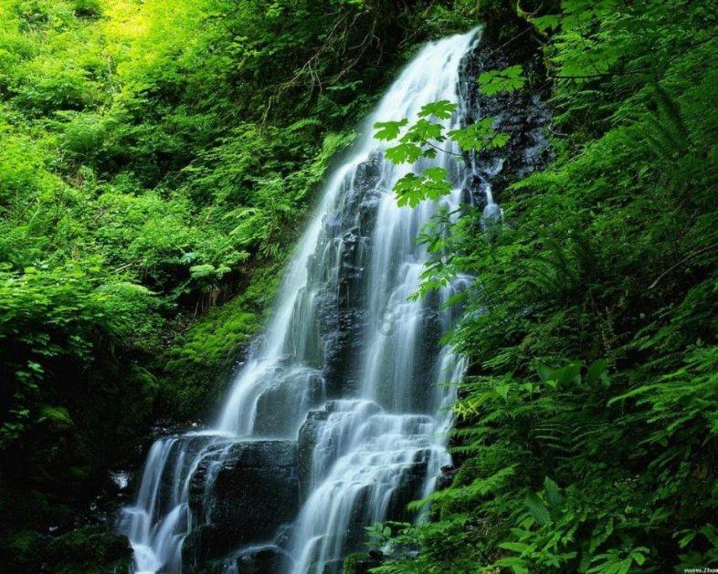 永恒之光